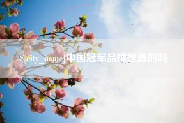 中国冠军品牌是真的吗