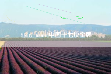 中国十七块金牌