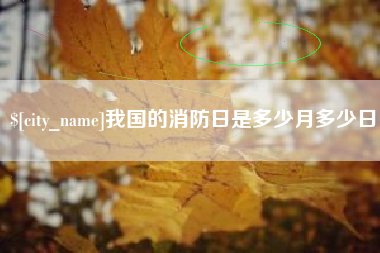 我国的消防日是多少月多少日