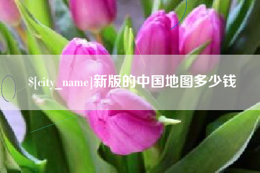 新版的中国地图多少钱