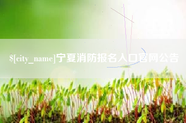 宁夏消防报名入口官网公告