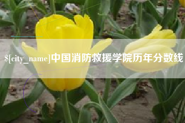 中国消防救援学院历年分数线