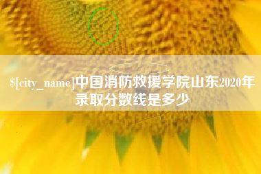 中国消防救援学院山东2020年录取分数线是多少