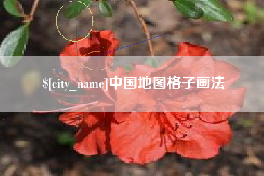 中国地图格子画法