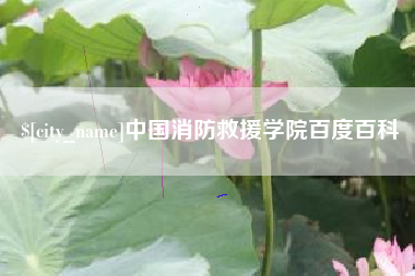 中国消防救援学院百度百科