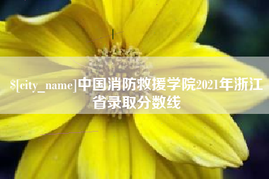 中国消防救援学院2021年浙江省录取分数线