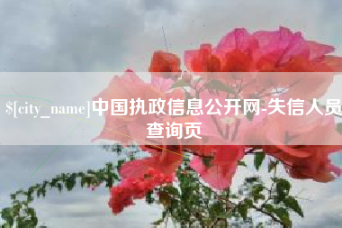 中国执政信息公开网-失信人员查询页