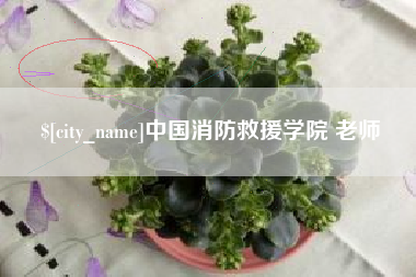 中国消防救援学院 老师