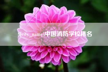 中国消防学校排名