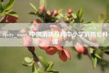 中国消防官网中小学消防公开课
