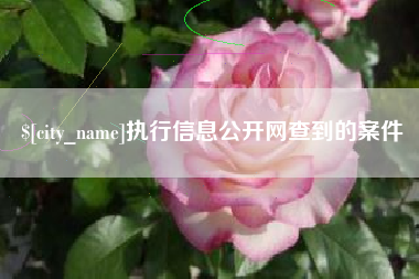 执行信息公开网查到的案件