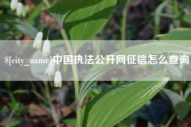 中国执法公开网征信怎么查询