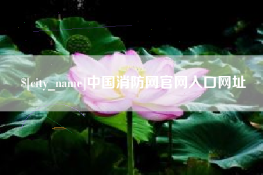 中国消防网官网入口网址
