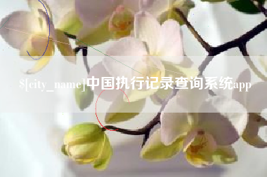 中国执行记录查询系统app