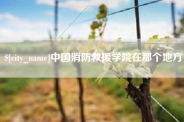 中国消防救援学院在那个地方