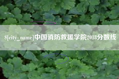 中国消防救援学院2018分数线