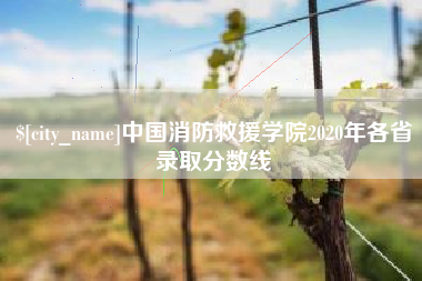 中国消防救援学院2020年各省录取分数线