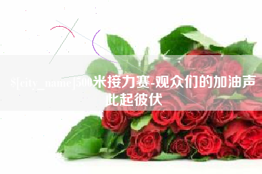 500米接力赛-观众们的加油声此起彼伏