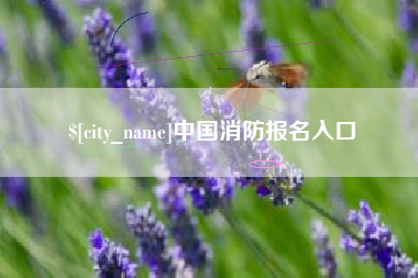 中国消防报名入口