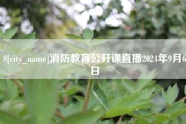 消防教育公开课直播2024年9月6日