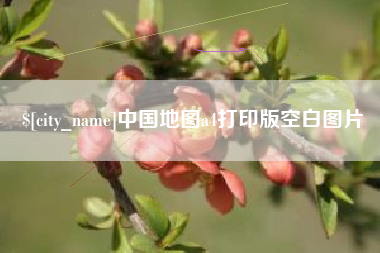 中国地图a4打印版空白图片