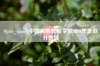 中国消防救援学院2019年录取分数线