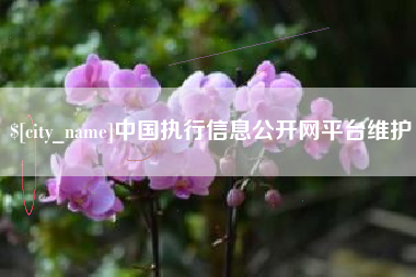 中国执行信息公开网平台维护