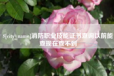消防职业技能证书查询以前能查现在查不到
