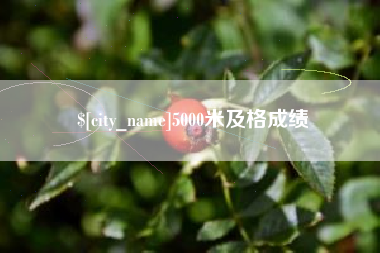 5000米及格成绩