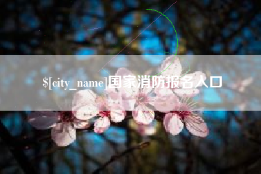 国家消防报名入口