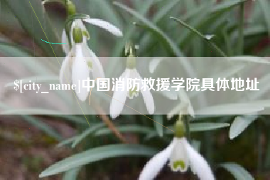 中国消防救援学院具体地址
