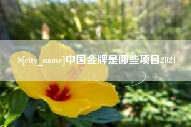 中国金牌是哪些项目2021