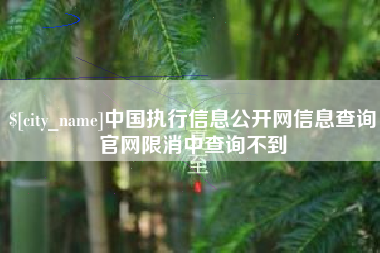 中国执行信息公开网信息查询官网限消中查询不到