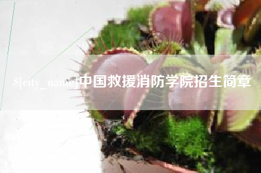 中国救援消防学院招生简章