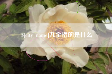 九金指的是什么