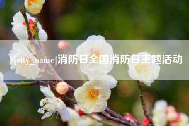 消防日全国消防日主题活动