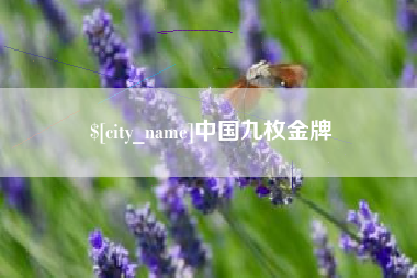 中国九枚金牌