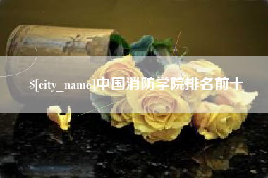 中国消防学院排名前十