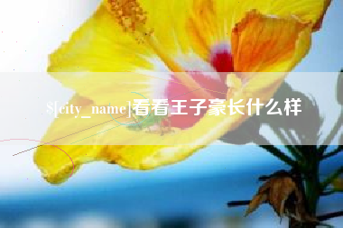 看看王子豪长什么样