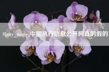 中国执行信息公开网真的假的