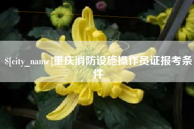 重庆消防设施操作员证报考条件