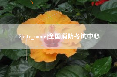 全国消防考试中心