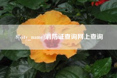 消防证查询网上查询