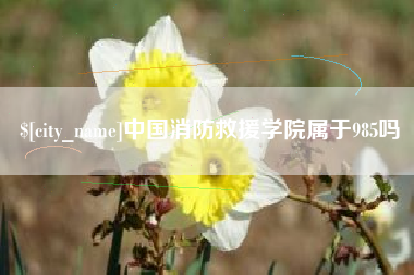 中国消防救援学院属于985吗