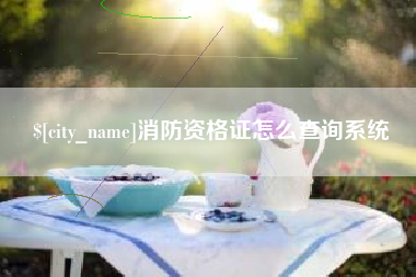 消防资格证怎么查询系统