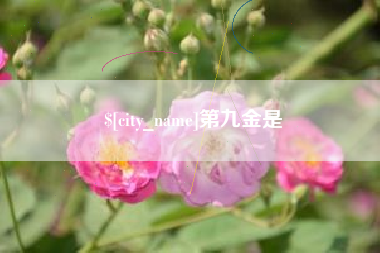 第九金是