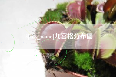 九宫格分布图