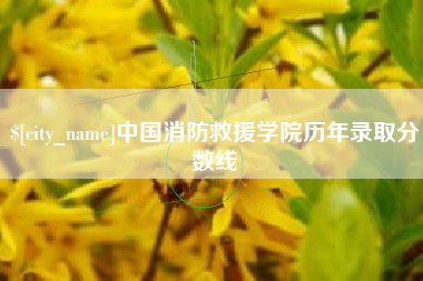 中国消防救援学院历年录取分数线