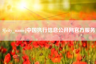 中国执行信息公开网官方服务