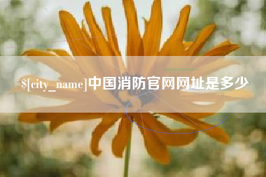 中国消防官网网址是多少